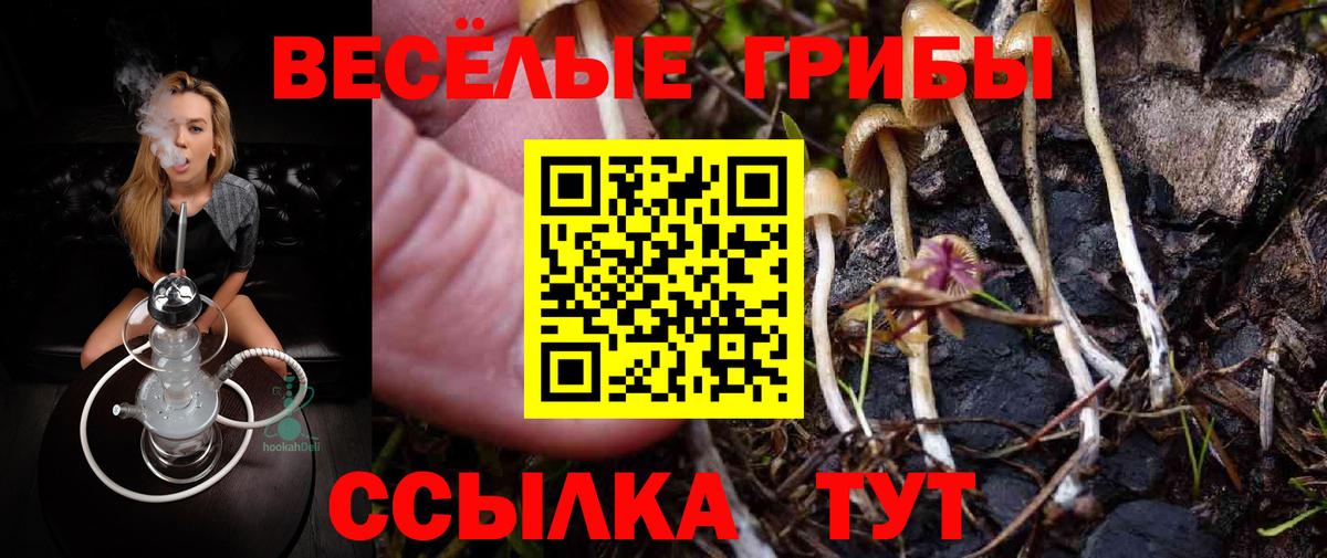 Аксай  Галлюциногенные грибы MAGIC MUSHROOMS  Вход с VPN 